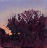 Clyst - star by Tom Rickman - click for more detail